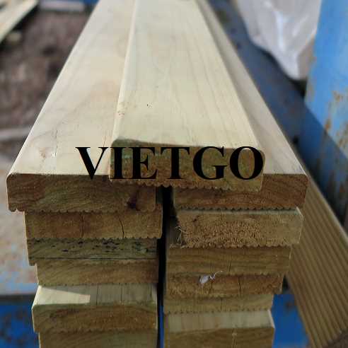 Thương vụ xuất khẩu gỗ thông xẻ đến thị trường Ấn Độ 