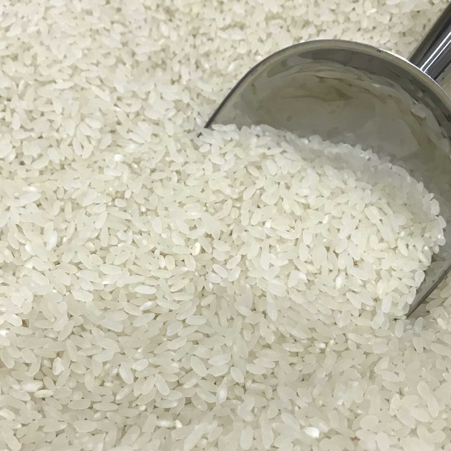 i want to buy Rice