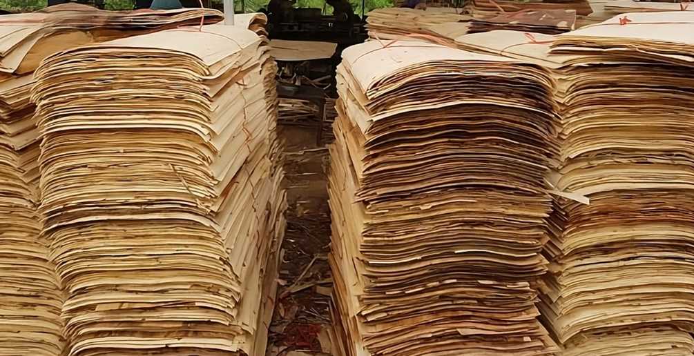 Cần tìm đơn vị vận tải mặt hàng ván bóc gỗ keo sang thị trường Ấn Độ