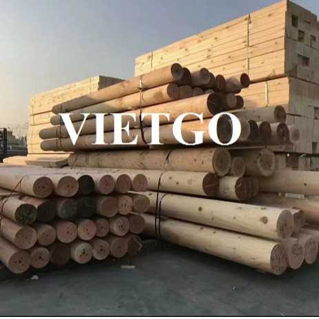 Thương vụ xuất khẩu gỗ thông tròn sang thị trường Trung Quốc