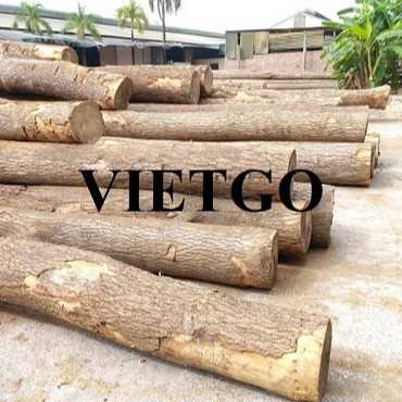 Thương vụ xuất khẩu sản phẩm gỗ thông tròn đến thị trường Ấn Độ