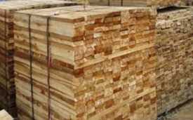 (GẤP) Cần tìm đơn vị vận tải biển vận chuyển sản phẩm gỗ keo xẻ đi Trung Quốc