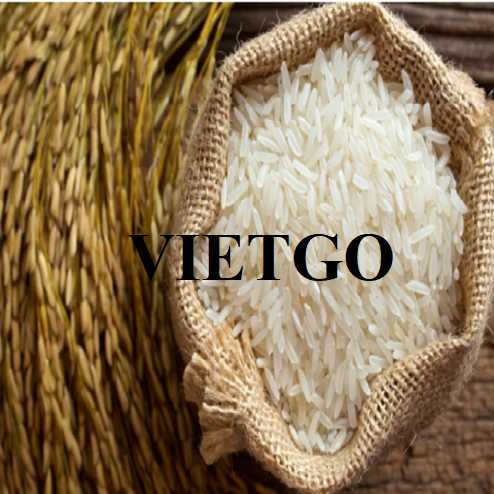 Cơ hội hợp tác xuất khẩu gạo trắng hạt dài đến thị trường Brazil 