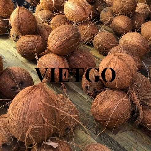 Cơ hội xuất khẩu dừa khô gọt vỏ sang thị trường Bangladesh