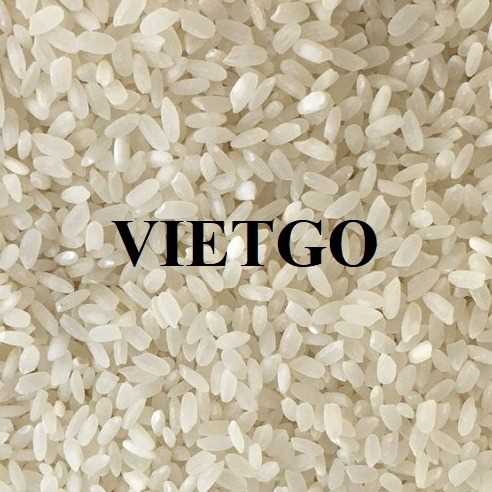 Thương vụ hợp tác xuất khẩu gạo vỡ sang thị trường Ả-rập Xê-út