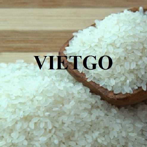 Cơ hội hợp tác xuất khẩu gạo tấm đến với vị khách đến từ Bồ Đào Nha