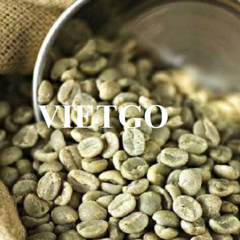 Cơ hội hợp tác xuất khẩu hạt cà phê xanh Arabica sang thị trường Mông Cổ