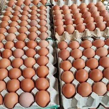 I AM LOOKING FOR BROWN EGG