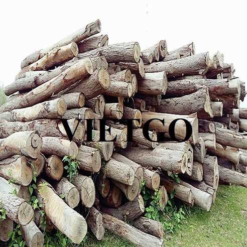 Thương vụ xuất khẩu sản phẩm gỗ tròn đến thị trường Ấn Độ