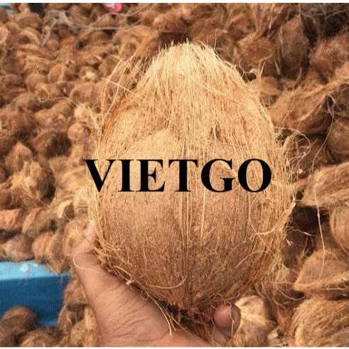 Thương vụ xuất khẩu sản phẩm dừa khô đến thị trường Canada