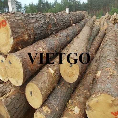 Thương vụ xuất khẩu gỗ thông tròn sang thị trường Pakistan