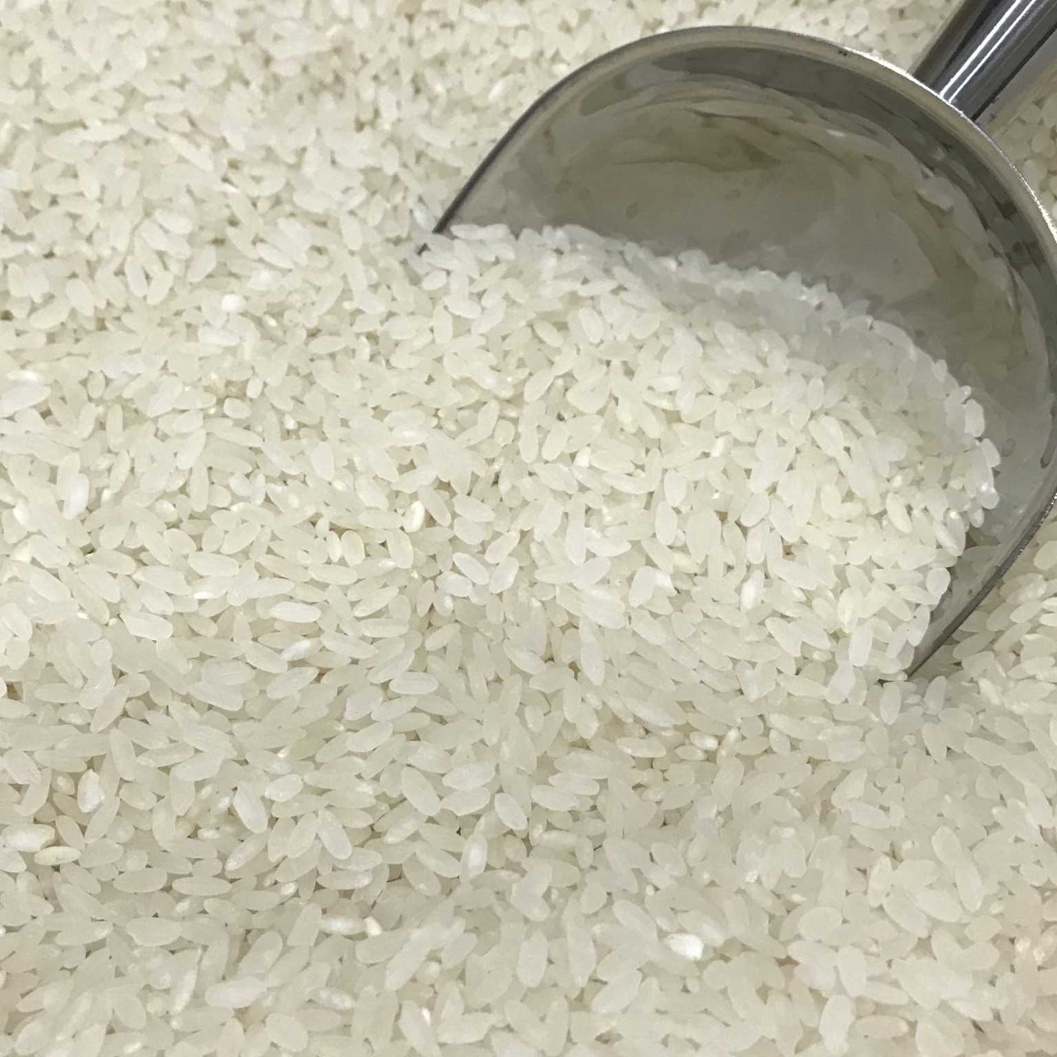 i'm looking for rice suppliers