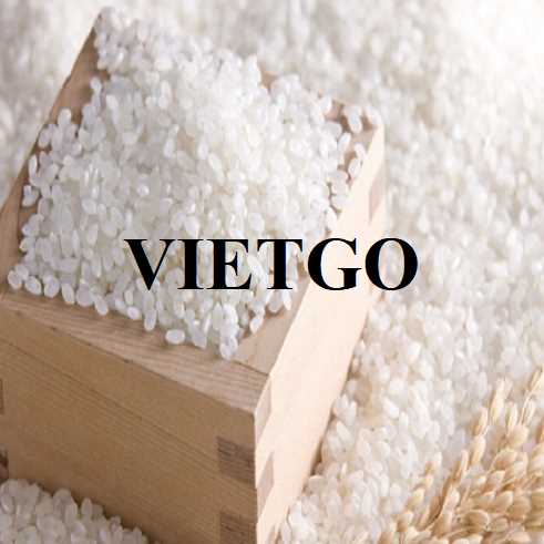 Cơ hội hợp tác xuất khẩu gạo tấm và gạo Basmati đến thị trường Mỹ