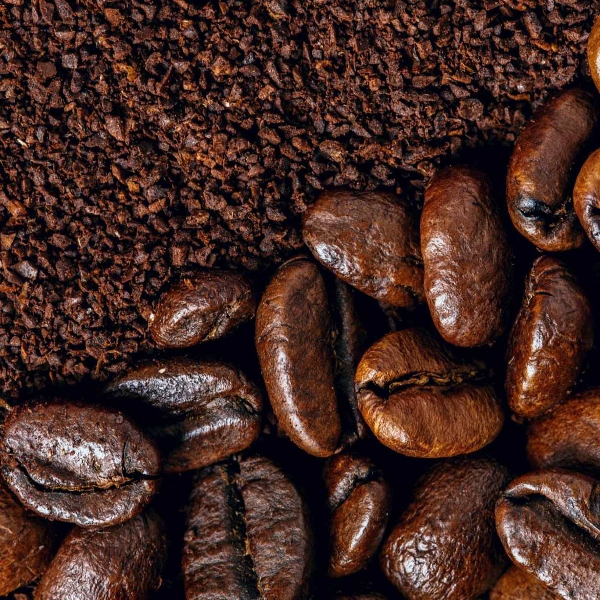 I AM LOOKING FOR COFFEE BEANS TO RUSSIA