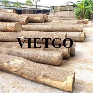 Thương vụ xuất khẩu sản phẩm gỗ thông tròn đến thị trường Trung Quốc
