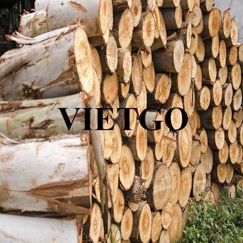 Cơ hội hợp tác xuất khẩu gỗ bạch đàn tròn tới thị trường Ấn Độ