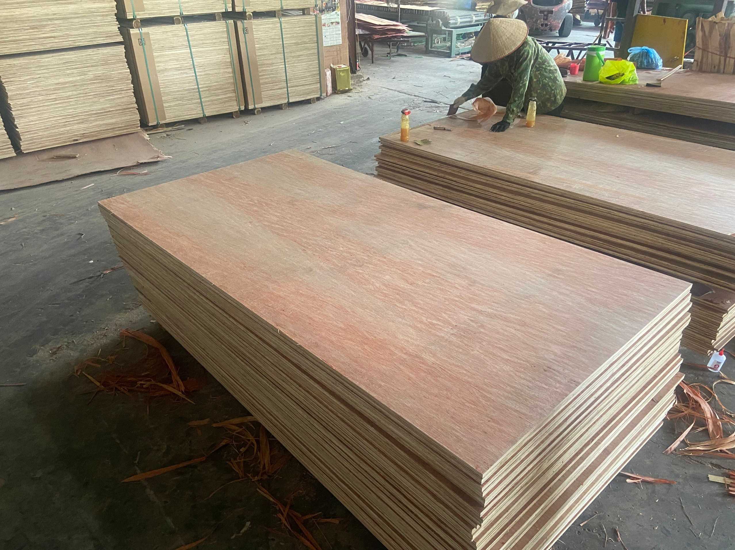 Công ty Victory3307 đang cần tìm vận tải hàng gỗ dán chuyên tuyến Ấn Độ