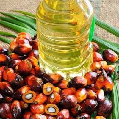 I AM LOOKING FOR PALM OIL
