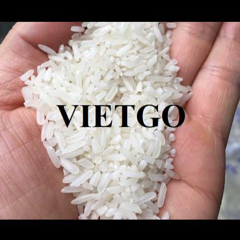Cơ hội hợp tác xuất khẩu gạo đến thị trường Pháp 