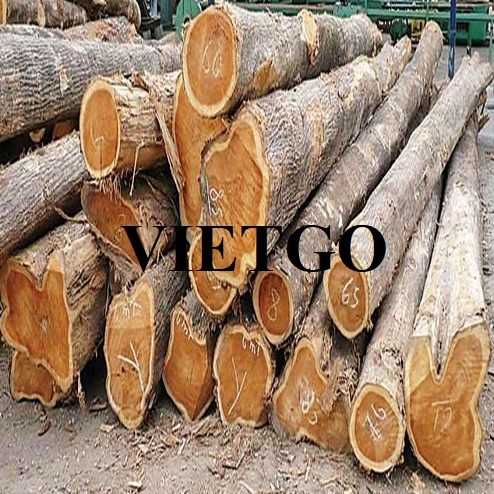 Thương vụ xuất khẩu sản phẩm gỗ teak sang thị trường Ấn Độ