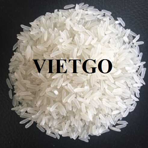 Cơ hội hợp tác xuất khẩu gạo đến thị trường Mỹ