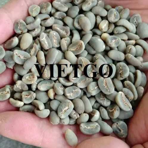 Cơ hội hợp tác xuất khẩu cà phê hòa tan và hạt cà phê xanh Robusta đến thị trường Campuchia và Singapore 