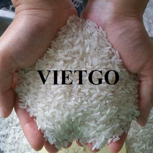 Cơ hội xuất khẩu gạo sang thị trường Colombia và El Salvador