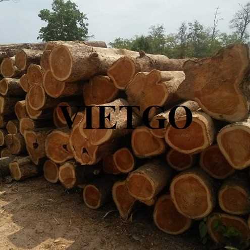 Thương vụ xuất khẩu sản phẩm gỗ teak tròn đến thị trường Ấn Độ