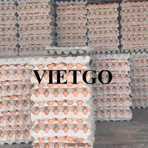 Thương vụ xuất khẩu trứng gà nâu và trứng gà trắng sang thị trường UAE