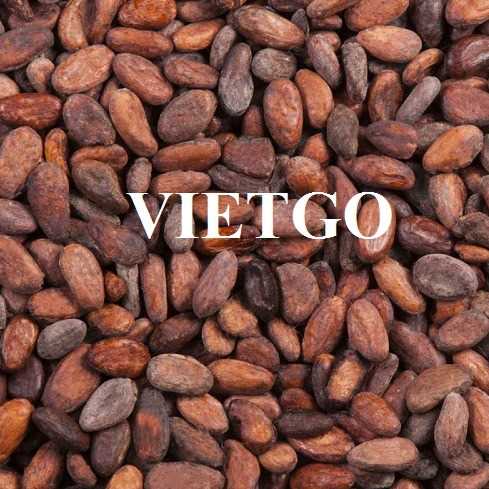 Cơ hội xuất khẩu hạt cacao sang thị trường Nga