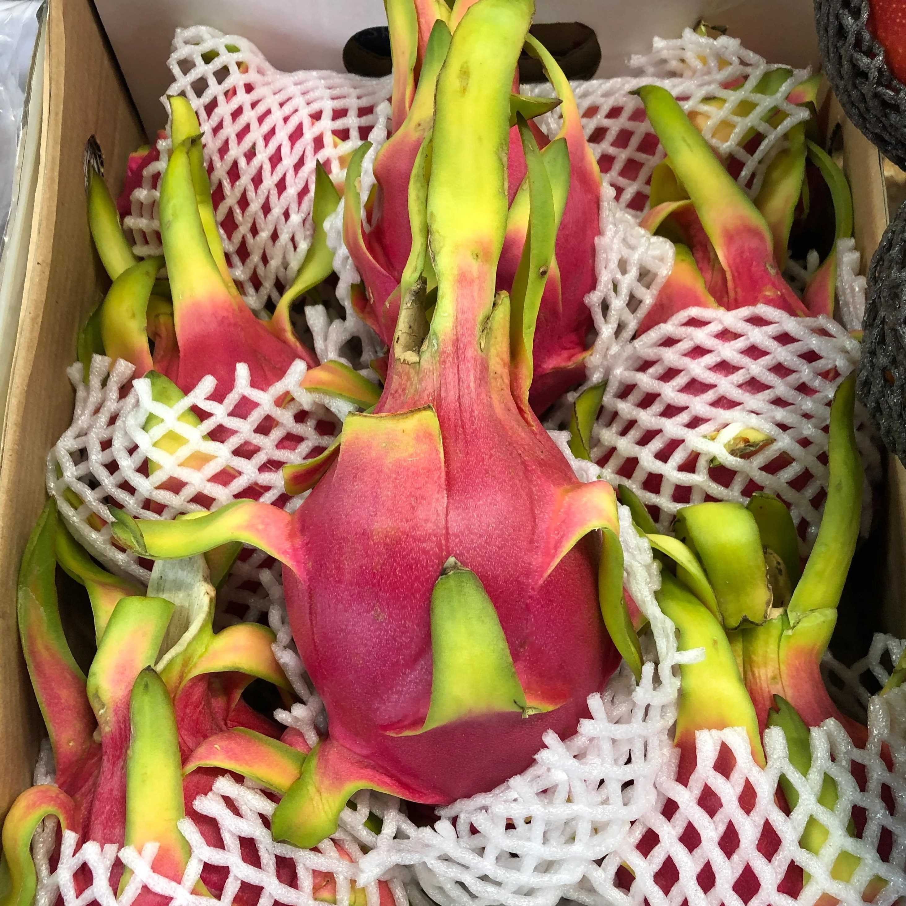  i need dragon fruit