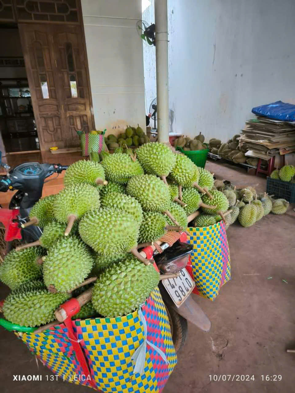 Cần tìm nhà vận chuyển đơn hàng sầu riêng sang Sri Lanka 