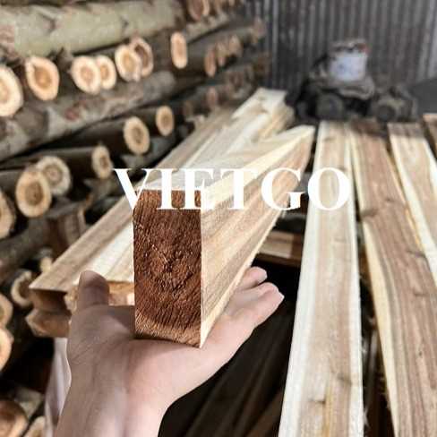 Thương vụ xuất khẩu gỗ keo xẻ sang thị trường Ấn Độ