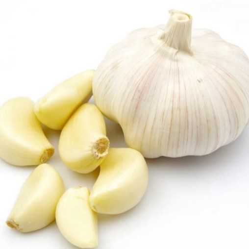 i want to buy garlic