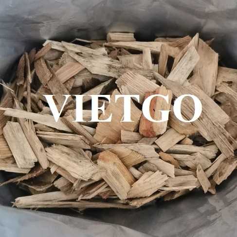 Cơ hội hợp tác xuất khẩu gỗ vụn tới thị trường Hàn Quốc và Trung Quốc