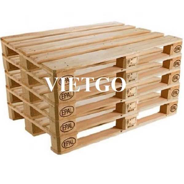 Cơ hội hợp tác xuất khẩu pallet Epal tới thị trường Ấn Độ