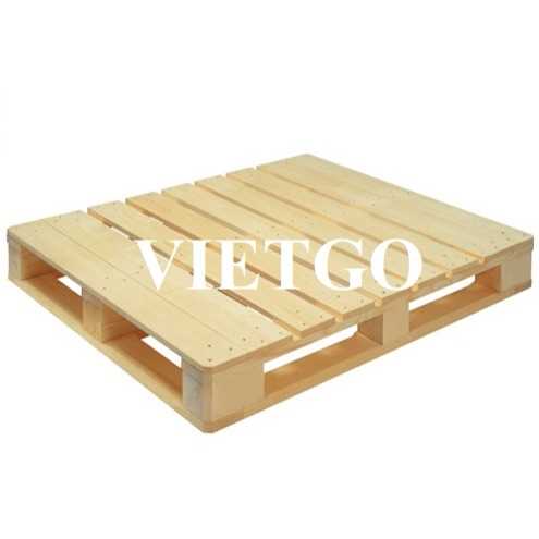 Cơ hội hợp tác xuất khẩu pallet Epal tới thị trường Nam Phi