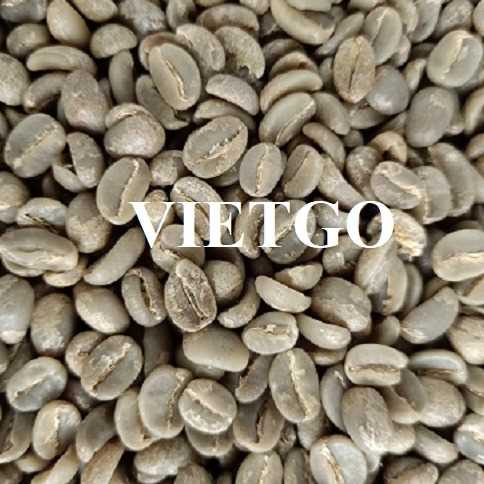 Thương vụ hợp tác xuất khẩu hạt cà phê xanh Arabica và Robusta sang thị trường Slovenia