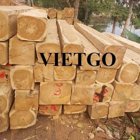 Thương vụ xuất khẩu gỗ teak xẻ hộp sang thị trường Ấn Độ 