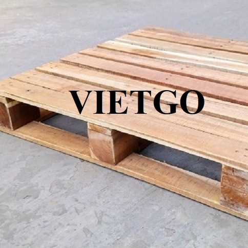 Thương vụ xuất khẩu pallet gỗ sang thị trường Anh