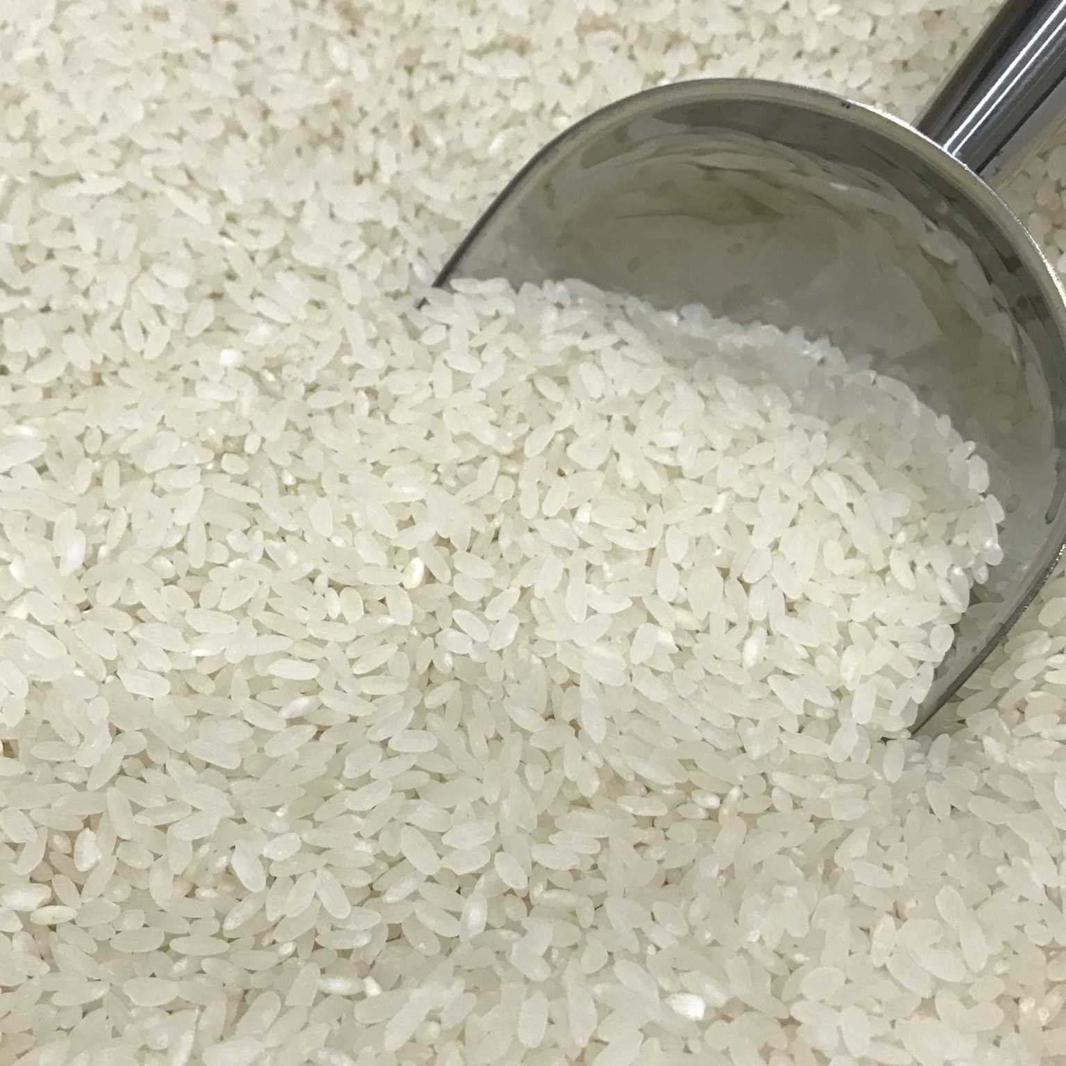 i want to buy rice