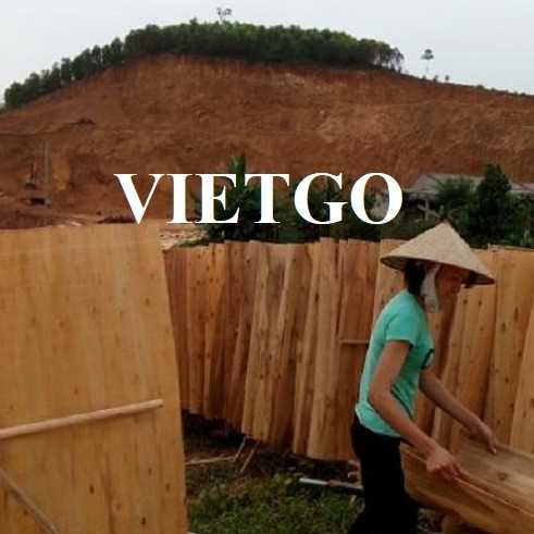 Cơ hội xuất khẩu ván bóc sang thị trường Ấn Độ