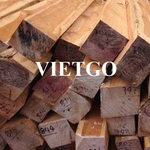 Cơ hội xuất khẩu gỗ teak xẻ sang thị trường Ấn Độ