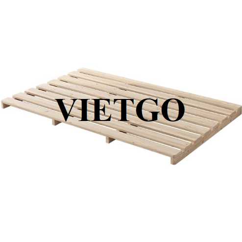 Thương vụ xuất khẩu pallet gỗ đến thị trường Ấn Độ