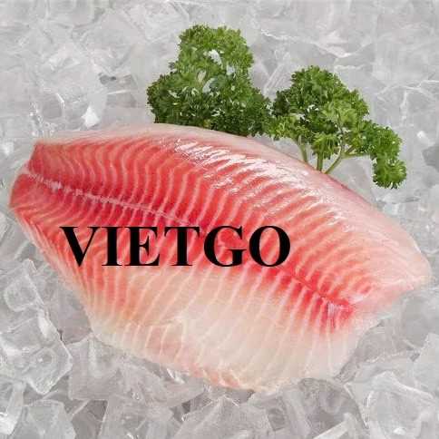 Cơ hội giao thương xuất khẩu cá rô phi fillet đông lạnh sang thị trường Mỹ