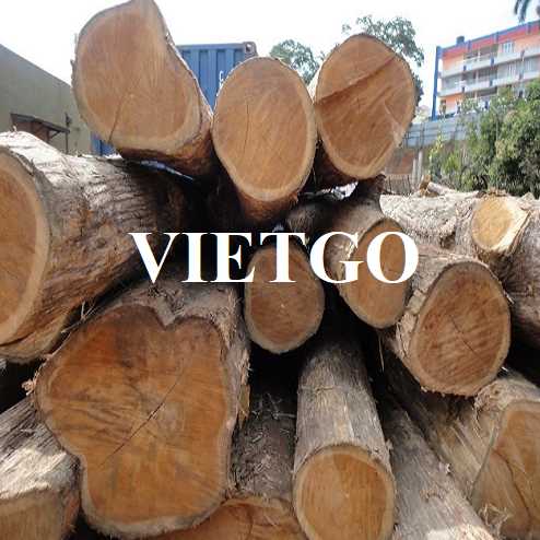 Thương vụ xuất khẩu gỗ teak tròn sang thị trường Bangladesh