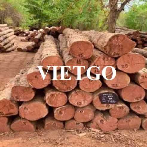 Thương vụ xuất khẩu gỗ teak sang thị trường Ấn Độ