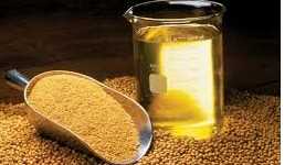 I want to buy soybean oil