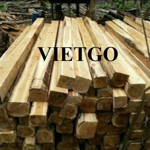 Thương vụ xuất khẩu gỗ teak xẻ sang thị trường Ấn Độ 