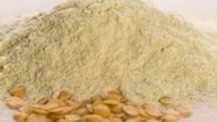 I want to buy Yellow Lentil Flour